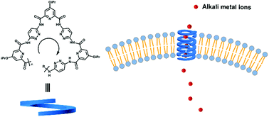 Graphical abstract: Supramolecular nanochannels self-assembled by helical pyridine–pyridazine oligomers