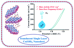 Graphical abstract: Selective synthesis of single layer translucent cobalt hydroxide for the efficient oxygen evolution reaction
