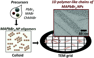 Graphical abstract: Linear assembly of lead bromide-based nanoparticles inside lead(ii) polymers prepared by mixing the precursors of both the nanoparticle and the polymer