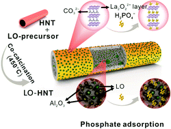 Graphical abstract: Activation of natural halloysite nanotubes by introducing lanthanum oxycarbonate nanoparticles via co-calcination for outstanding phosphate removal