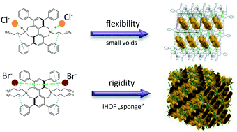 Graphical abstract: Polymorphism of a porous hydrogen bond-assisted ionic organic framework