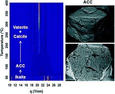 Graphical abstract: Reentrant phase transformation from crystalline ikaite to amorphous calcium carbonate