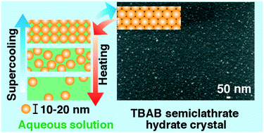 Graphical abstract: Memory effect in tetra-n-butyl ammonium bromide semiclathrate hydrate reformation: the existence of solution structures after hydrate decomposition
