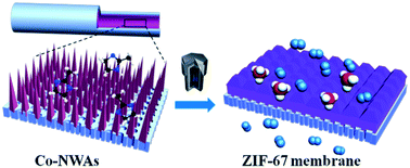 Graphical abstract: Preparation of a pure ZIF-67 membrane by self-conversion of cobalt carbonate hydroxide nanowires for H2 separation