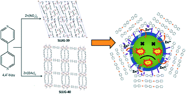 Graphical abstract: Two structurally diverse Zn-based coordination polymers with excellent antibacterial activity