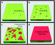 Graphical abstract: Promoter-free synthesis of monolayer MoS2 by chemical vapour deposition