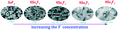 Graphical abstract: One-step surfactant-free synthesis of KSc2F7 microcrystals: controllable phases, rich morphologies and multicolor down conversion luminescence properties