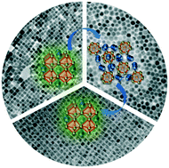 Graphical abstract: Reversible transformation between CsPbBr3 and Cs4PbBr6 nanocrystals