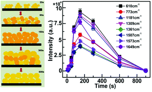 Graphical abstract: Twinned copper nanoparticles modulated with electrochemical deposition for in situ SERS monitoring