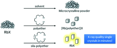 Graphical abstract: Sila-polyethers as innocent crystallization reagents for heavy alkali metal compounds