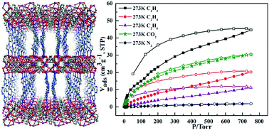 Graphical abstract: A pillar-layered porous CoII-MOF with dual active sites for selective gas adsorption