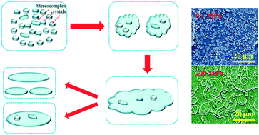 Graphical abstract: Pressure-controlled crystallization of stereocomplex crystals in enantiomeric polylactides with remarkably enhanced hydrolytic degradation