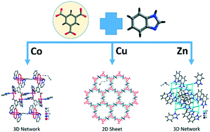 Graphical abstract: Hybrid materials based on transition metal–BTC–benzimidazole: solvent assisted crystallographic and structural switching