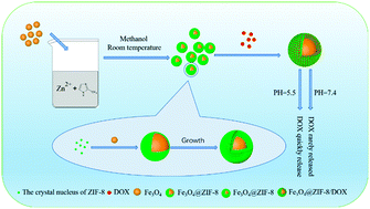 Graphical abstract: Controlled synthesis of Fe3O4@ZIF-8 nanoparticles for drug delivery
