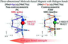 Graphical abstract: Chiral cyanido-bridged Mn–Nb magnets including halogen-bonds