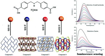 Graphical abstract: Construction of functional coordination polymers derived from designed flexible bis(4-carboxybenzyl)amine