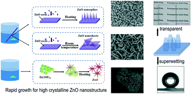 Graphical abstract: Low temperature, rapid and controllable growth of highly crystalline ZnO nanostructures via a diluent hydrolytic process and its application to transparent super-wetting films