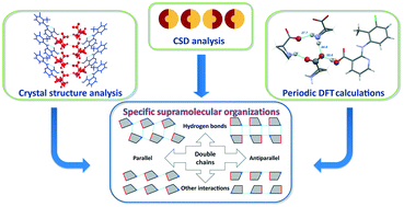 Graphical abstract: Specific features of supramolecular organisation and hydrogen bonding in proline cocrystals: a case study of fenamates and diclofenac