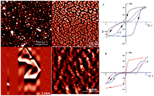 Graphical abstract: Role of the interfaces and the charge of a molecule in the non-equilibrium crystallization of dipeptide nanomaterials onto solid substrates