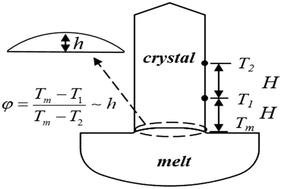 Graphical abstract: Real-time prediction of crystal/melt interface shape during Czochralski crystal growth