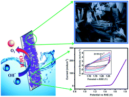 Graphical abstract: Synthesis of hydrous cobalt phosphate electro-catalysts by a facile hydrothermal method for enhanced oxygen evolution reaction: effect of urea variation