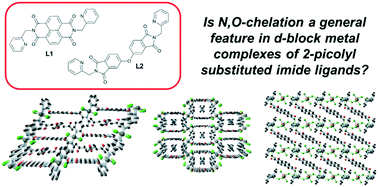 Graphical abstract: Crystallographic studies of 2-picolyl substituted naphthalene diimide and bis-phthalimide ligands and their supramolecular coordination chemistry