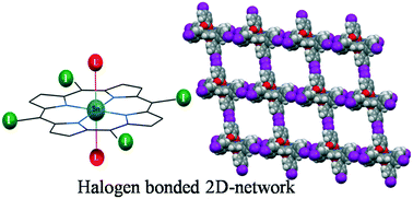 Graphical abstract: Wheel-and-axle topology-driven halogen bonds: formation of ladder, 1D and 2D networks in hexa-coordinated Sn(iv) porphyrins