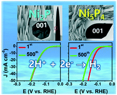Graphical abstract: Nickel phosphide polymorphs with an active (001) surface as excellent catalysts for water splitting