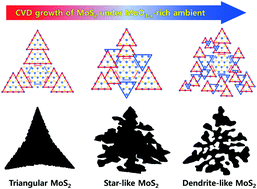 Graphical abstract: Non-equilibrium fractal growth of MoS2 for electrocatalytic hydrogen evolution