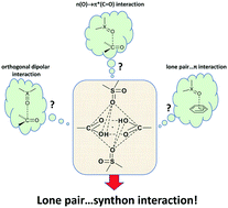 Graphical abstract: “Lp⋯synthon” interaction as a reason for the strong amplification of synthon-forming hydrogen bonds