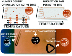 Graphical abstract: Crystal nucleation from solutions of proteins with temperature-independent solubility: a case study of apoferritin