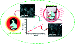 Graphical abstract: Electrochemical glucose sensing characteristics of two-dimensional faceted and non-faceted CuO nanoribbons