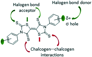 Graphical abstract: Halogen and chalcogen-bonding interactions in sulphur-rich π-electron acceptors
