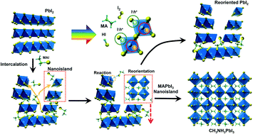 Graphical abstract: Thermal and illumination effects on a PbI2 nanoplate and its transformation to CH3NH3PbI3 perovskite