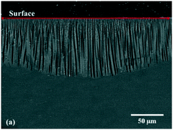 Graphical abstract: Laser-heated crystallization of eutectic composition glass