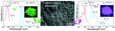 Graphical abstract: Ultralong Ca2B2O5·H2O nanowires: water-bath pretreated eco-friendly hydrothermal synthesis, optical and rare earth-doped photoluminescence properties