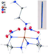 Graphical abstract: A unique copper coordination structure with both mono- and bi-dentate ethylenediamine ligands