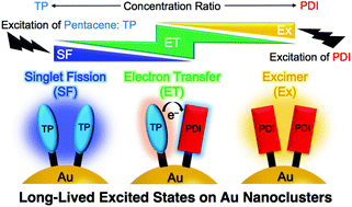 Graphical abstract: Concentration-dependent photophysical switching in mixed self-assembled monolayers of pentacene and perylenediimide on gold nanoclusters