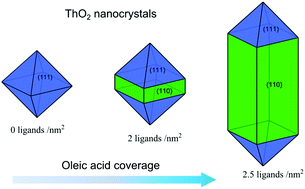 Graphical abstract: Ligand induced shape transformation of thorium dioxide nanocrystals