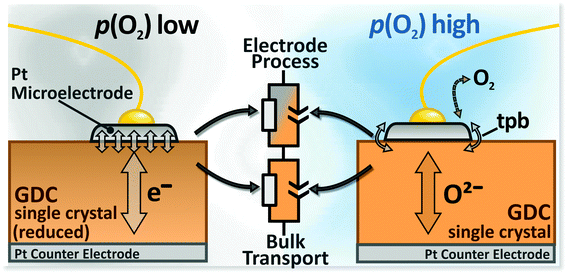 Graphical abstract: Platinum microelectrodes on gadolinia doped ceria single crystals – bulk properties and electrode kinetics