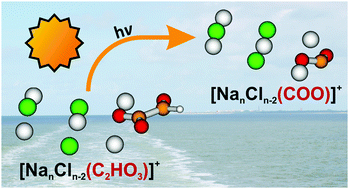 Graphical abstract: Photochemistry of glyoxylate embedded in sodium chloride clusters, a laboratory model for tropospheric sea-salt aerosols