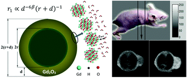 Graphical abstract: MRI relaxivity enhancement of gadolinium oxide nanoshells with a controllable shell thickness