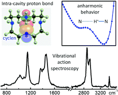 Graphical abstract: Intra-cavity proton bonding and anharmonicity in the anionophore cyclen