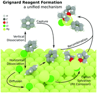 Graphical abstract: A unified model of Grignard reagent formation