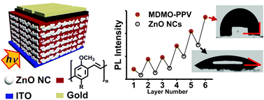 Graphical abstract: Surface structure, optoelectronic properties and charge transport in ZnO nanocrystal/MDMO-PPV multilayer films