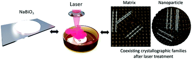 Graphical abstract: Laser-induced formation of bismuth nanoparticles