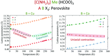 Graphical abstract: Neutron diffraction studies on the thermal expansion and anomalous mechanics in the perovskite-type [C(ND2)3]Me2+(DCOO)3 [Me = Cu, Mn, Co]