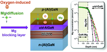 Graphical abstract: Oxygen-induced high diffusion rate of magnesium dopants in GaN/AlGaN based UV LED heterostructures