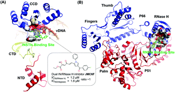 Graphical abstract: Prediction of the binding mode and resistance profile for a dual-target pyrrolyl diketo acid scaffold against HIV-1 integrase and reverse-transcriptase-associated ribonuclease H