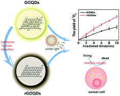 Graphical abstract: Reduction of graphene oxide quantum dots to enhance the yield of reactive oxygen species for photodynamic therapy